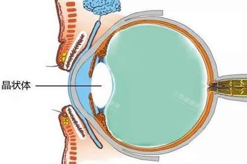河南省立眼科医院怎么挂号预约?省眼科医院挂号网上预约|电话预约|到院预约挂号方式流程公布！