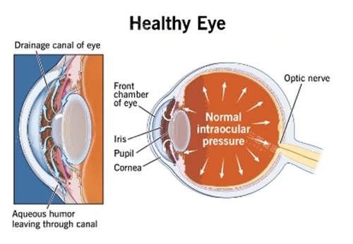 河北省眼科医院做青光眼手术多少钱？这份费用明细请收好！